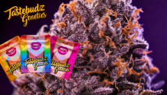 Elevate your grow game