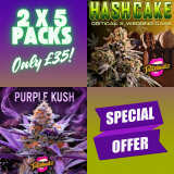 Special Offer
