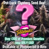 pot-luck-mystery-seed-box-photoperiod-seeds-autoflower-seeds