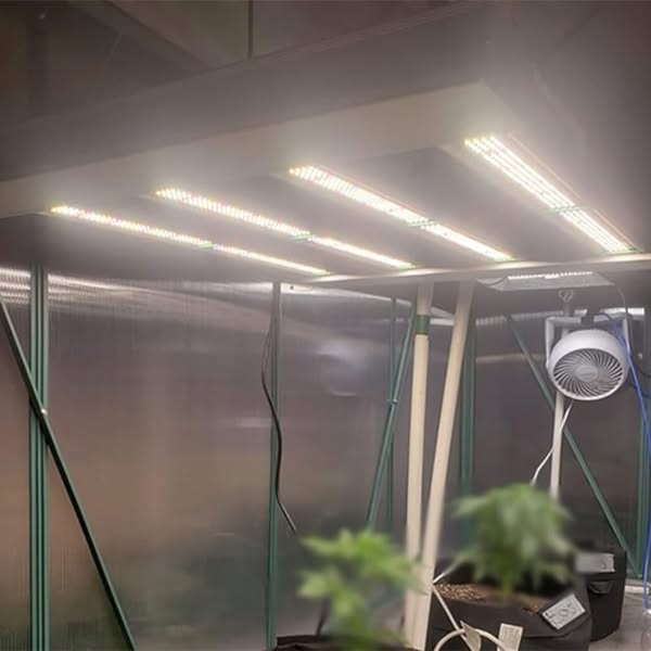 phlizon_phx4_full-spectrum_led_grow_light_240w (1)