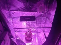 phlizon_PHD6_100W_LED_grow_light_full-spectrum (1)