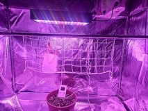 phlizon_PHD6_100W_LED_grow_light_full-spectrum (2)