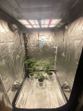 phlizon_full-spectrum_led_grow_light_pl4500