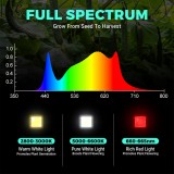 phlizon-grow-light-phlizon-fd6000-plus-640w-full-spectrum-daisy-chain-dimmable-cost-effective-high-yield-commercial-led-grow-light-for-4x4-36291566141646 (1)