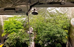 phlizon_fd6000_led_grow_light