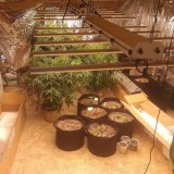 phlizon_full-spectrum_led_grow_light (3)