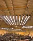 phlizon_led_grow_light (61)