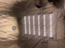 67baf8839a05c9e423eb6e308a2cfe64