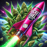 Rocket Fuel Strain Autoflower Cannabis Seeds | Supernatural Seeds UK