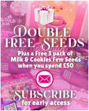 CHRISTMAS SPECIAL (1)