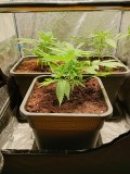 groepfoto1