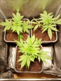 groepfoto2