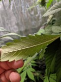 IMG_20190912_194045