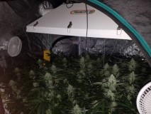 week 5