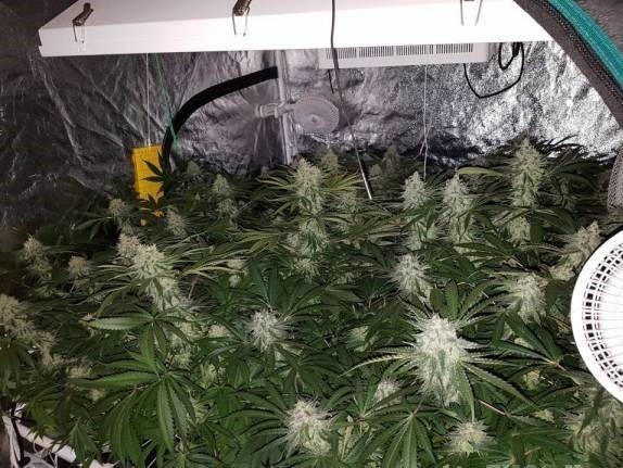 week 6