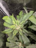 IMG_20190914_090710