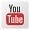 yt1