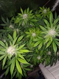 IMG_20190915_092450
