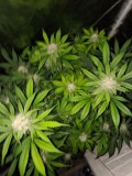 IMG_20190915_092446