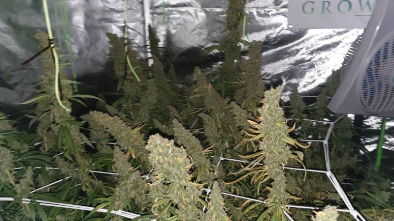 IMG-20190918-WA0166