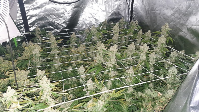 IMG-20190918-WA0162
