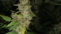 IMG-20190918-WA0174