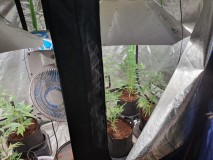 20190920_092322