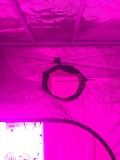 Green Qube Quick Qube 1.5m X 1.5M X 2.20m