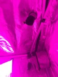 Green Qube Quick Qube 1.5m X 1.5M X 2.20m