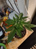 IMG_20190925_213450
