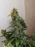IMG_20190929_222633
