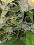 IMG_20190929_215213