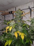 IMG_20190929_215121