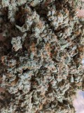 IMG_20191003_230910