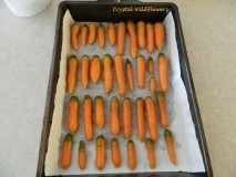 Carrot Harvest 2019