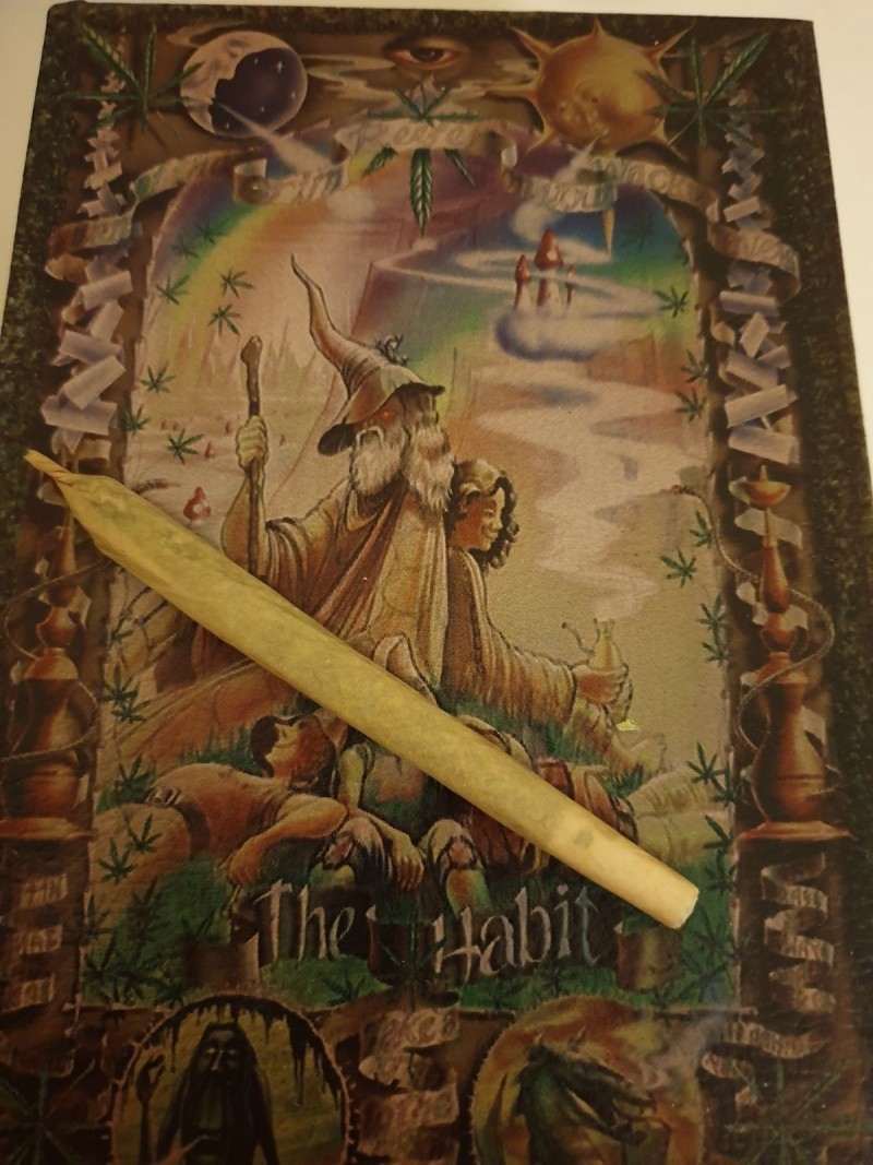Glueberry O.G and The Ultimate by Dutch Passion