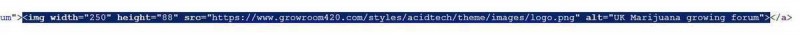 logo code
