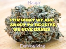 HappyDanksgiving