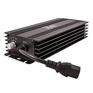 A grower review of Lumii Black 600w Digital Ballast 