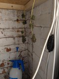 IMG_20191028_184824