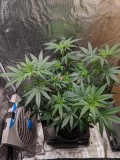 IMG_20191028_184716