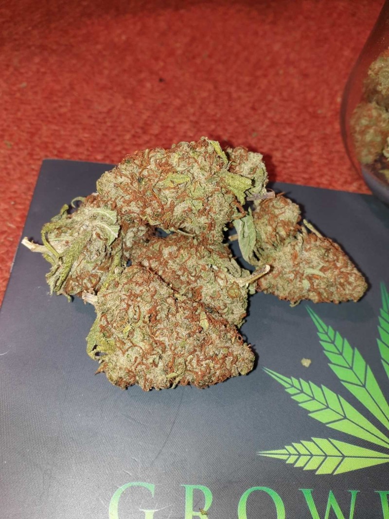 Glueberry O.G strain review