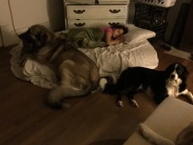 IMG_1518