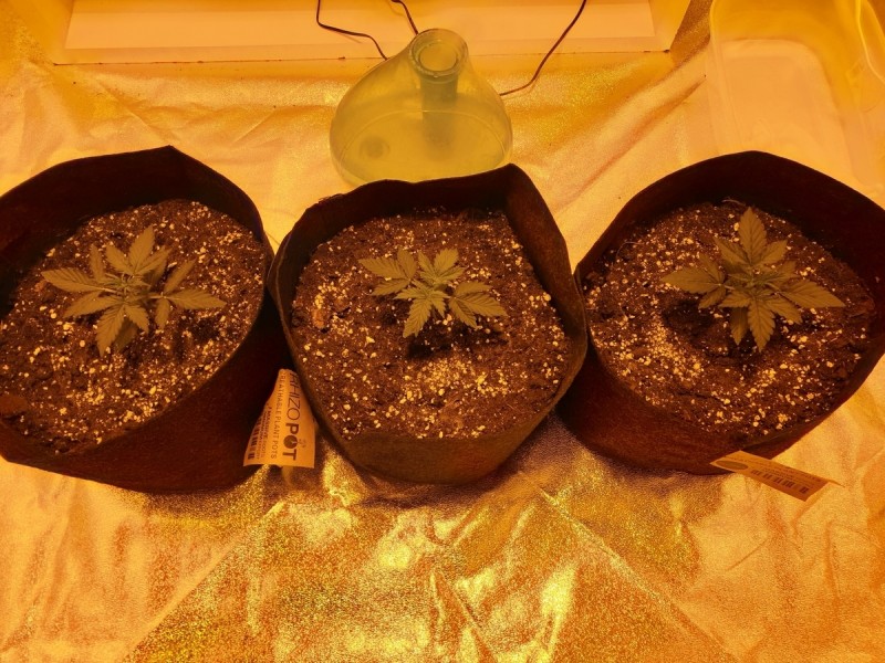 Day 12