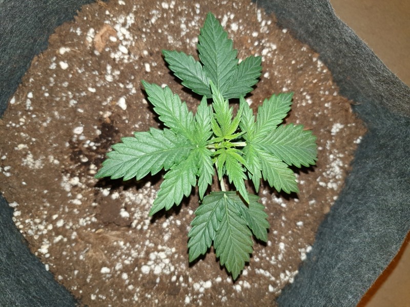 Day 13
