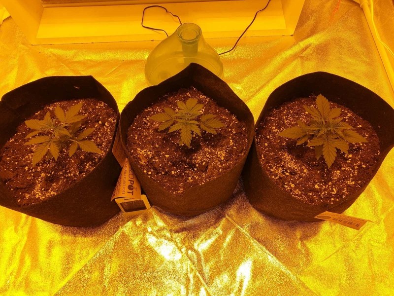 Day 13