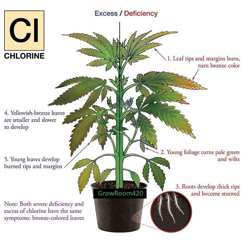 Chlorine