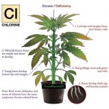 Chlorine