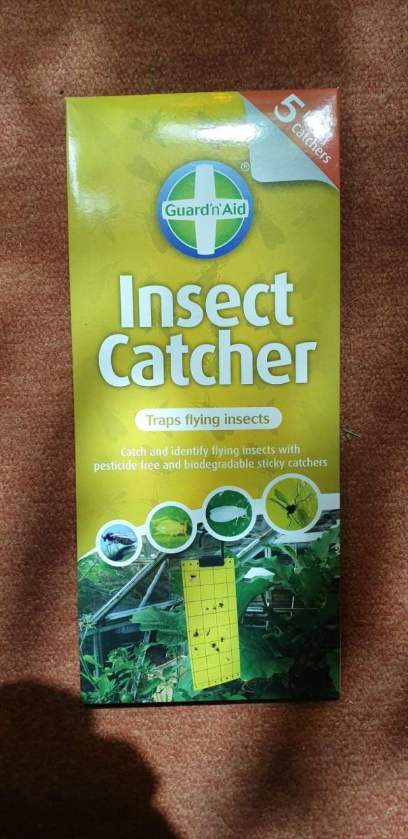 Insect Catcher