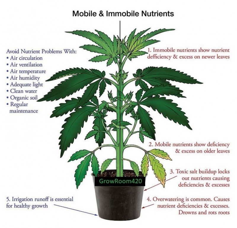 Mobile_Immobile_Nutrients